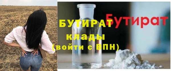 индика Пестово