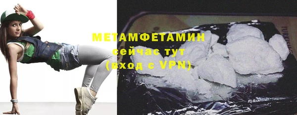 индика Пестово
