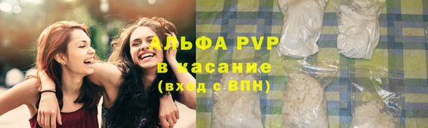 индика Пестово