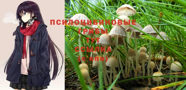 индика Пестово