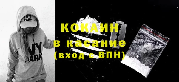 индика Пестово