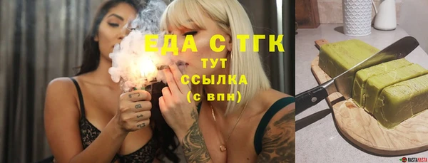 индика Пестово