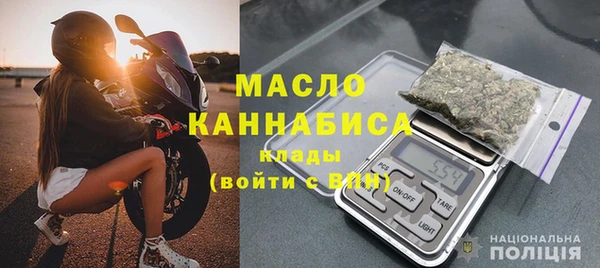 индика Пестово