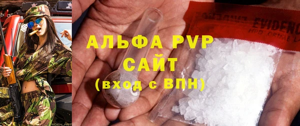 индика Пестово