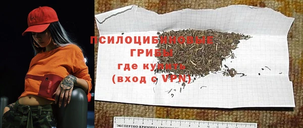 гидра Переславль-Залесский