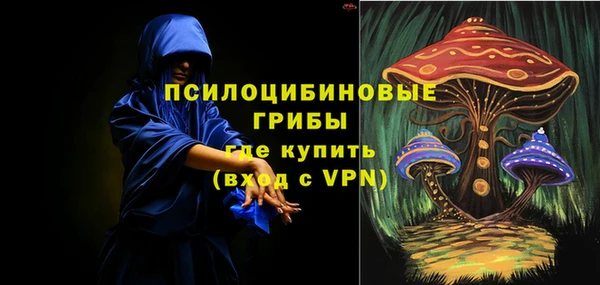 спайс Покачи
