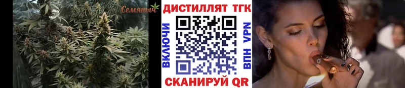 мега онион  Полярный  ТГК гашишное масло  цены наркотик 