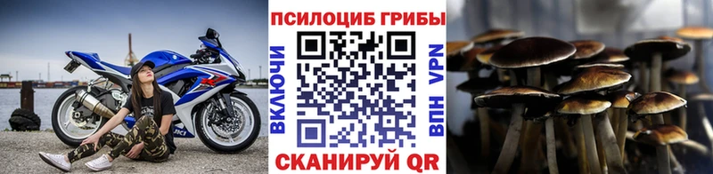 магазин  наркотиков  Полярный  Галлюциногенные грибы мухоморы 